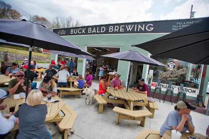 Buck Bald Brewing