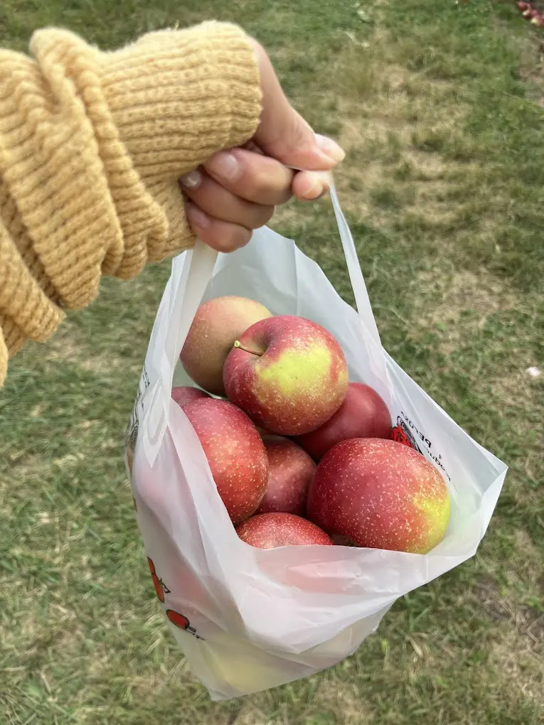 R&A Orchards in Blue Ellijay, GA