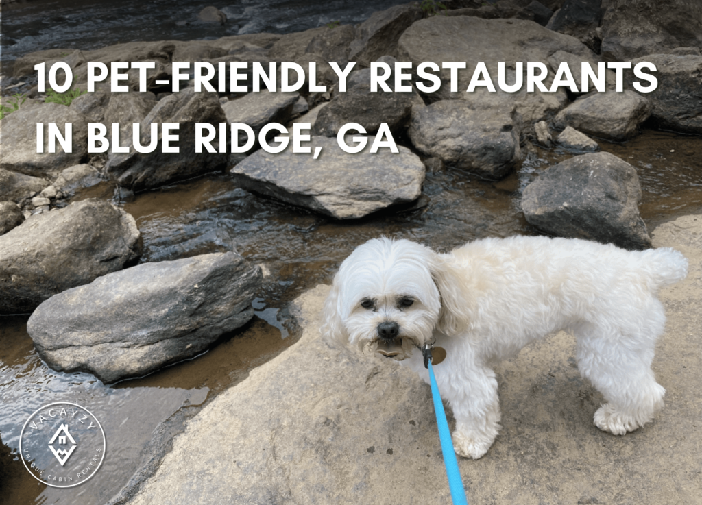 10 Delicious Pet-Friendly Restaurants in Blue Ridge, GA
