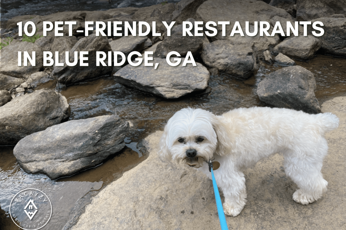 10 Delicious Pet-Friendly Restaurants in Blue Ridge, GA