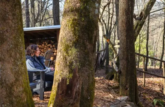 original 1070979027602053587 1835182584.jpg