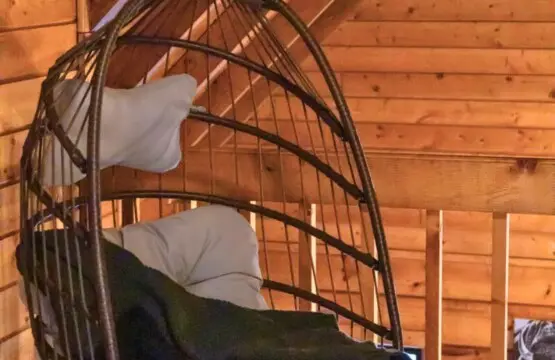 original 1070979027602053587 1835182691.jpg