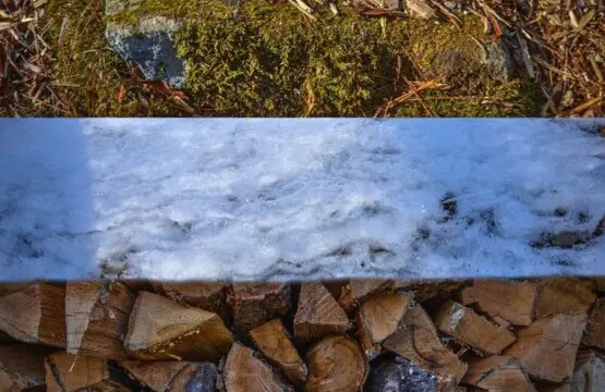 original 1070979027602053587 1835182865.jpg