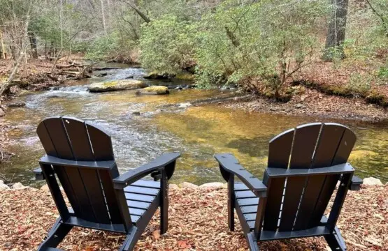 original 1070979027602053587 1835183035.jpg