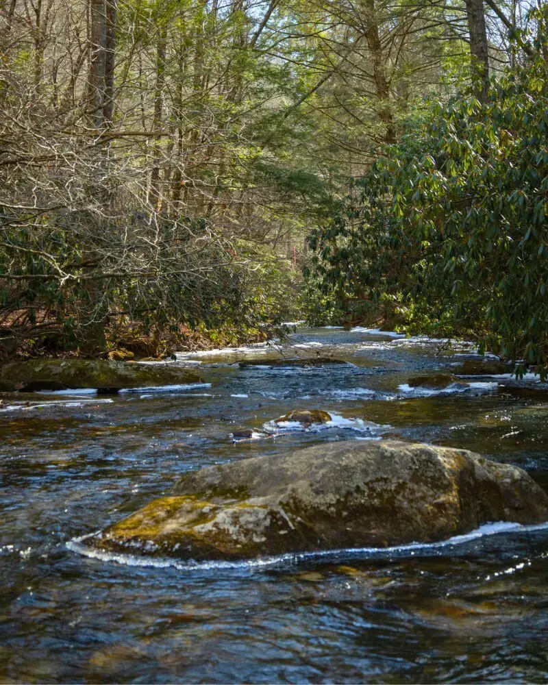 original 1070979027602053587 1835955629.jpg