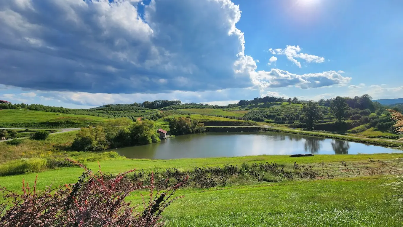 Mercier Orchards in Blue Ridge, GA
