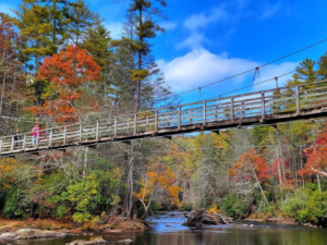 Swinging Bridge Trail