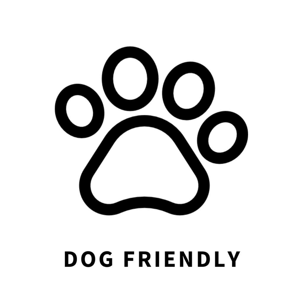 dog-friendly cabins in Blue Ridge, GA