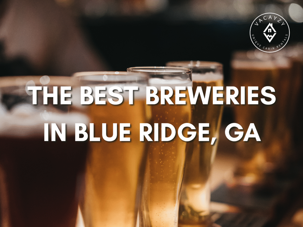 The Best Breweries in Blue Ridge, GA