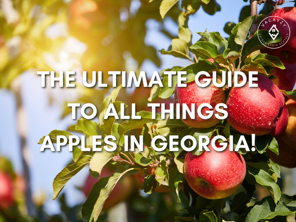 Bright red apples on a tree branch in a North Georgia orchard with the text “The Ultimate Guide to All Things Apples in Georgia!” overlayed.