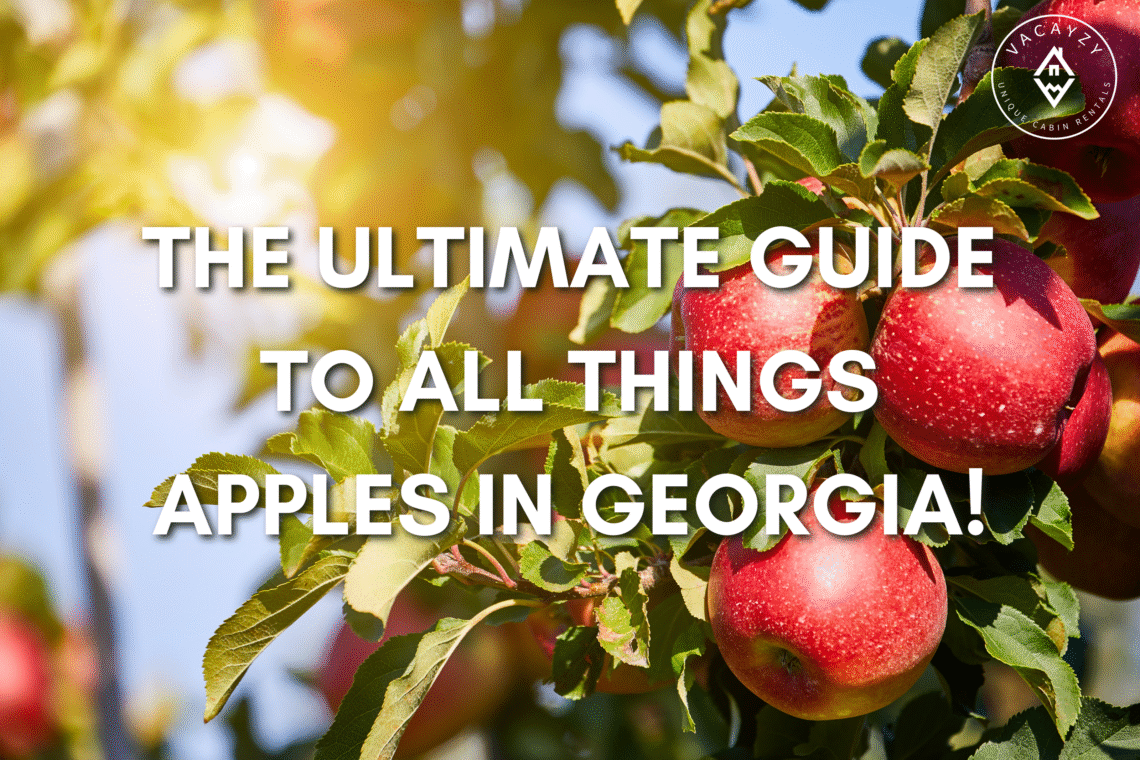 Bright red apples on a tree branch in a North Georgia orchard with the text “The Ultimate Guide to All Things Apples in Georgia!” overlayed.