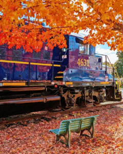 Blue Ridge Scenic Railway in downtown Blue Ridge, GA during autumn 1