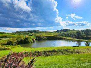 Scenic view of Mercier Orchards with rolling hills, a pond, and bright blue skies near Blue Ridge and Ellijay.