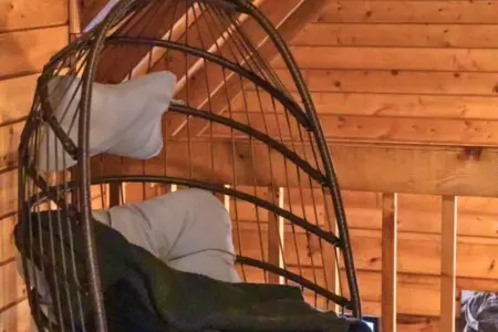 original 1070979027602053587 1835182691