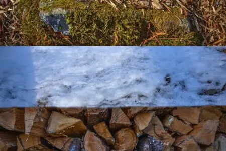 original 1070979027602053587 1835182865