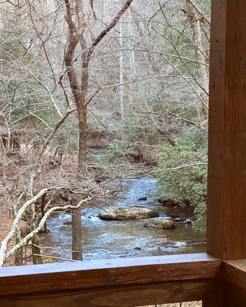 original 1070979027602053587 1835182877