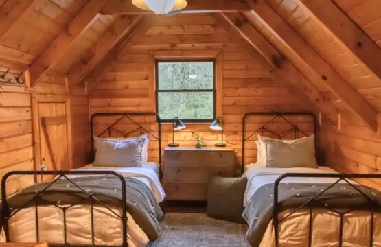 original 1070979027602053587 1835183172