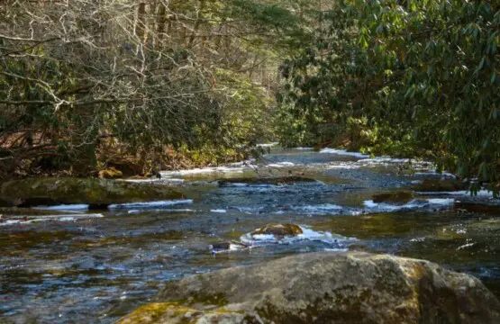 original 1070979027602053587 1835955629