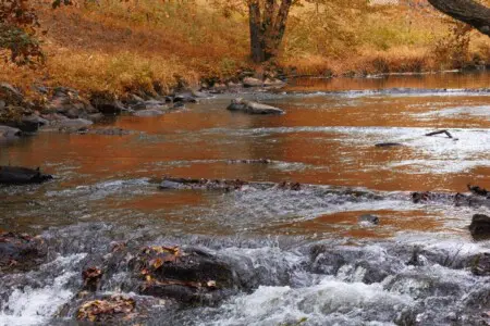 original 719382384328324886 1835537325