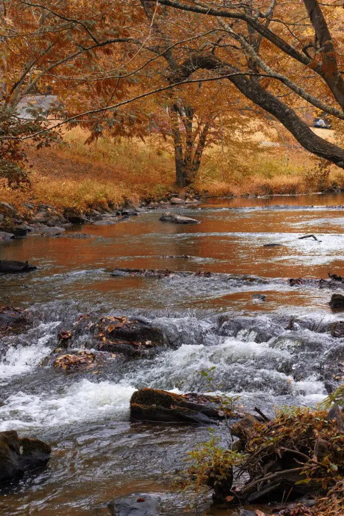 original 719382384328324886 1835537325