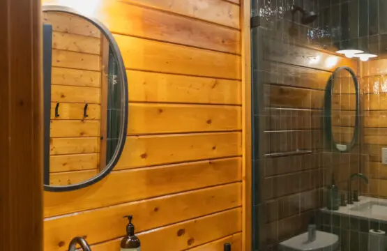 tdjzypu3ugokupfptrfe