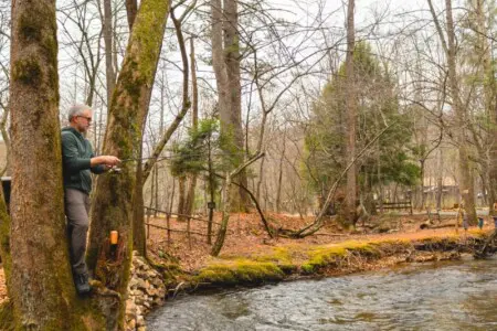 ycuzsbtnqvd8gfy2pjaj