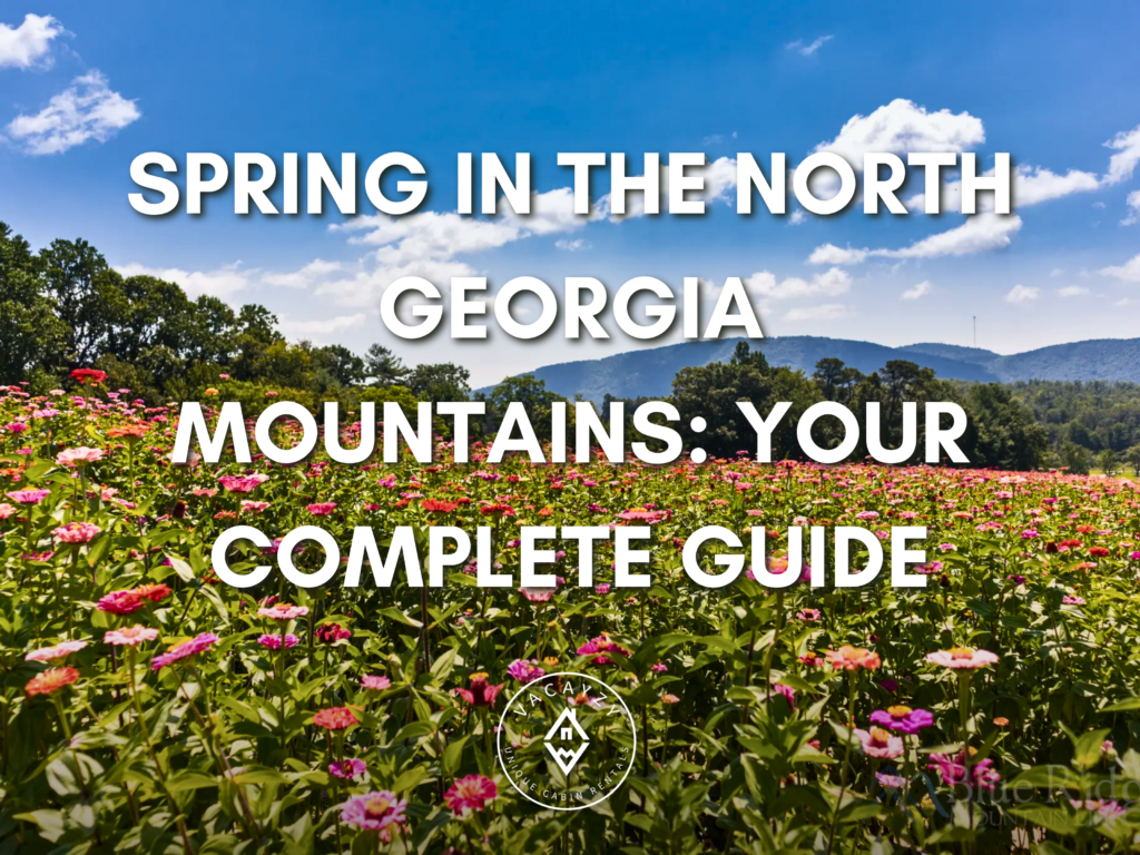Spring in North Georgia