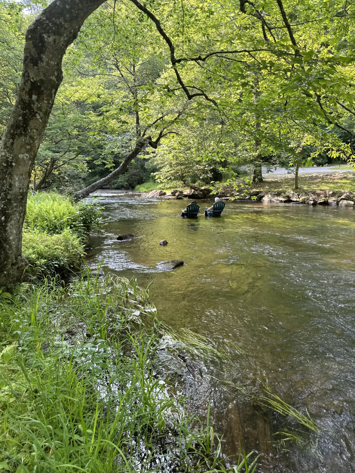 IMG 5572 9 scaled.jpg