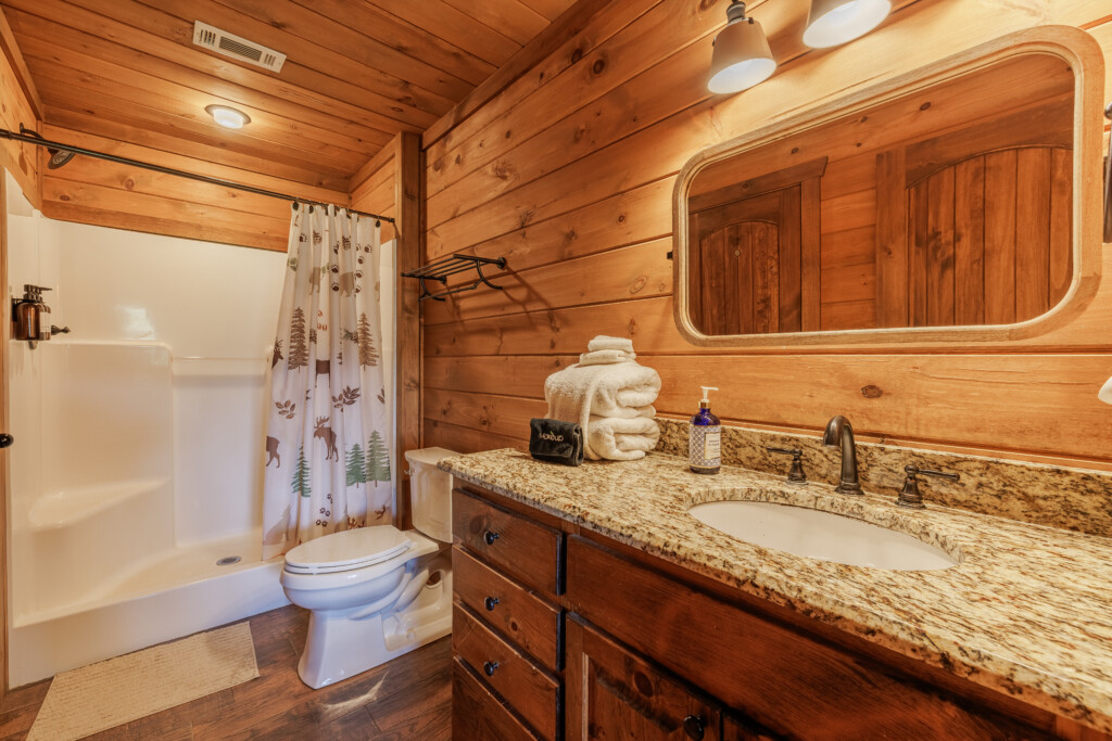 Above the Clouds cabin lower level bathroom with granite vanity and nature themed shower curtain in Blue Ridge Georgia