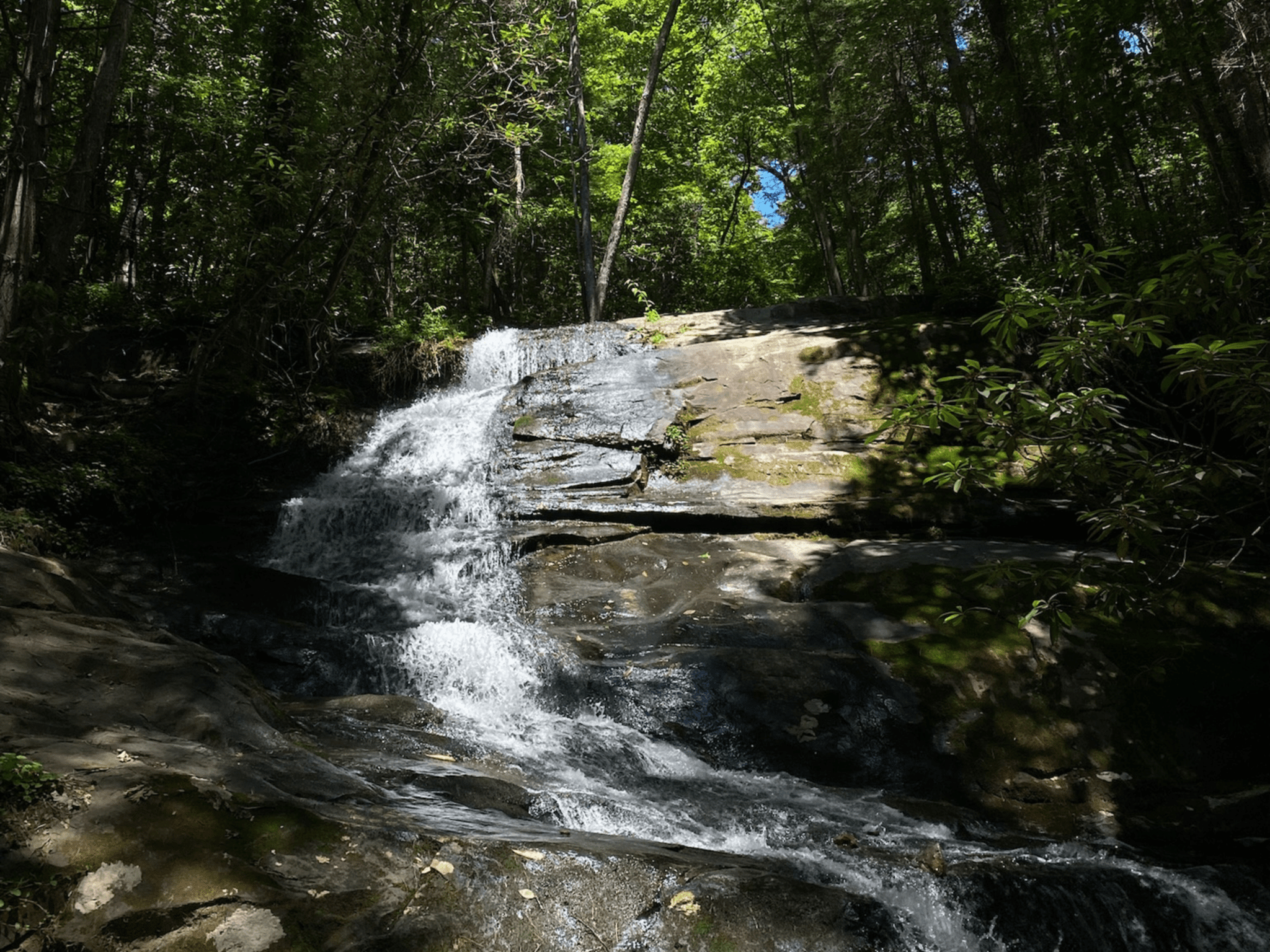 The Top 10 Best Attractions in Blue Ridge, GA!