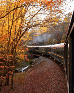 Blue Train riding through North Georgia mountains with peak fall leaf colors.