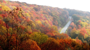 Scenic mountain road surrounded by peak fall foliage in Blue Ridge, Georgia