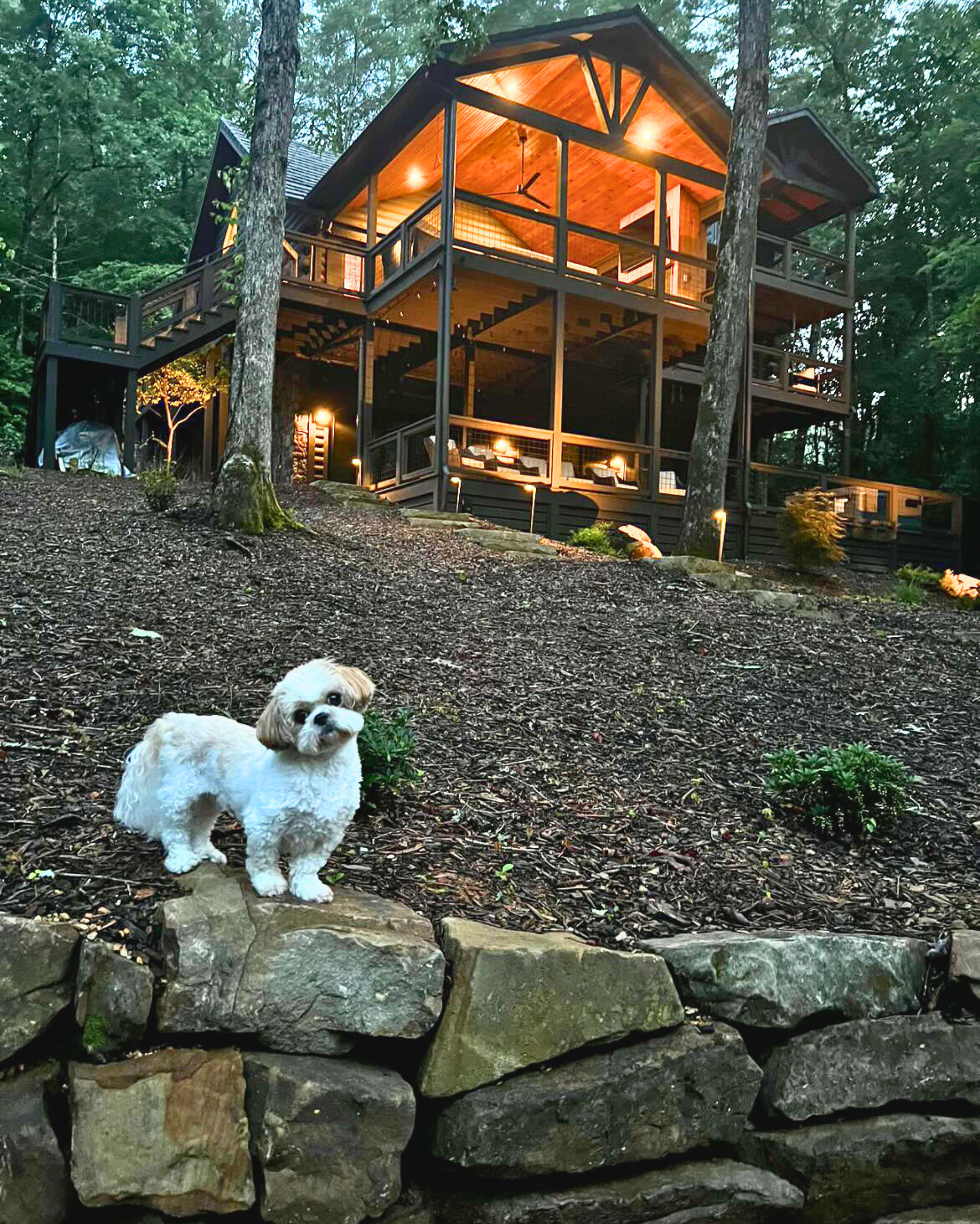 Hypoallergenic dog-friend river front cabin with 3 levels and 4 rooms