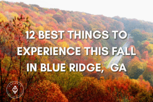 Discover the top 12 fall activities in Blue Ridge Georgia including scenic drives, festivals, and cozy cabin stays