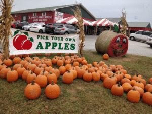 Pumpkins displayed in front of B.J. Reece Orchards in Ellijay, Georgia, with a festive hay bale painted like an apple and a sign advertising U-pick apples.