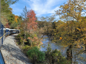 The Blue Ridge Scenic Railway traveling along the Toccoa River surrounded by colorful fall foliage in the North Georgia Mountains.