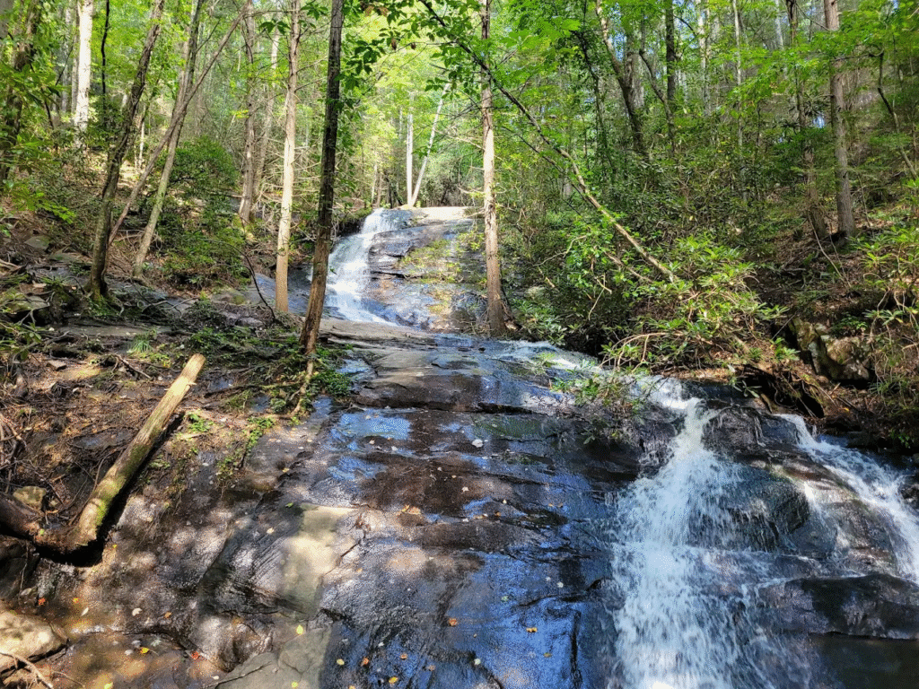 Fall Branch Falls