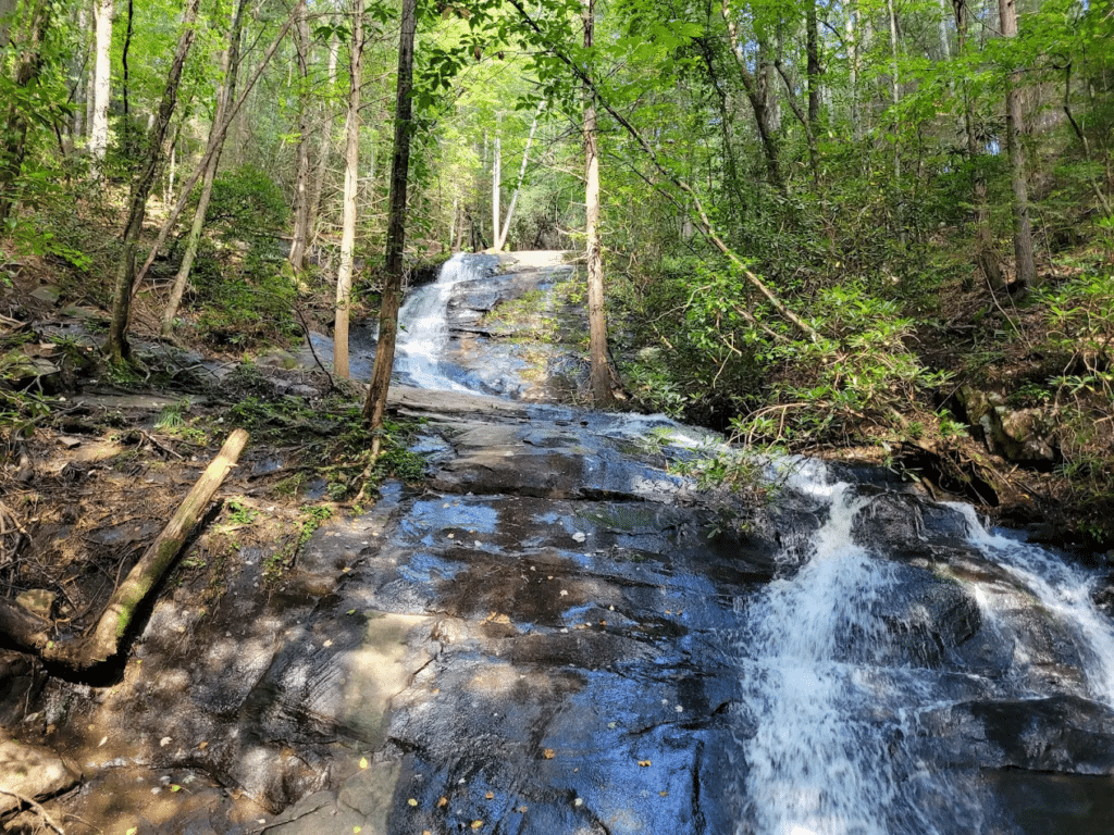 Fall Branch Falls 2